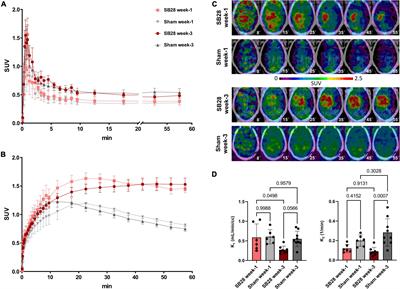 18 kDa translocator protein positron emission tomography facilitates early and robust tumor detection in the immunocompetent SB28 glioblastoma mouse model